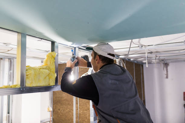 Best Insulation for Specific Applications in Goldenrod, FL