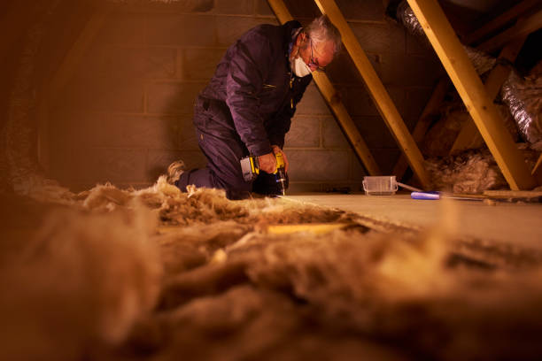 Best Commercial Insulation in Goldenrod, FL